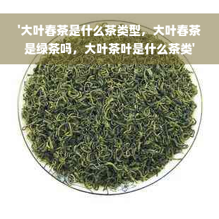 '大叶春茶是什么茶类型，大叶春茶是绿茶吗，大叶茶叶是什么茶类'