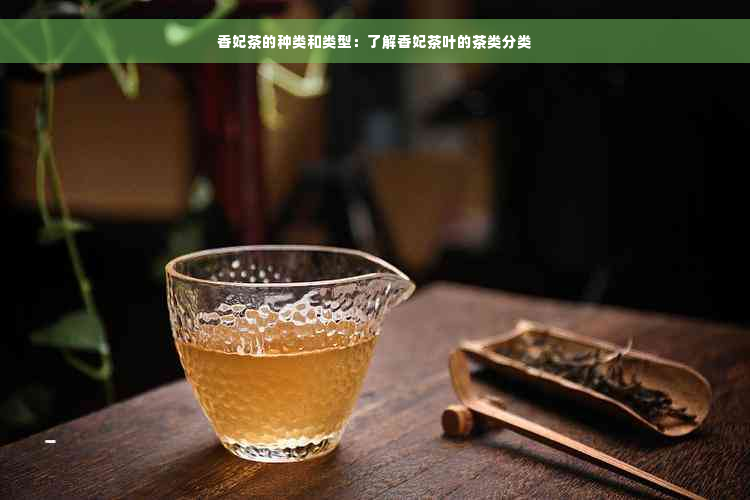 香妃茶的种类和类型：了解香妃茶叶的茶类分类