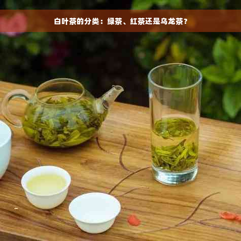 白叶茶的分类：绿茶、红茶还是乌龙茶？