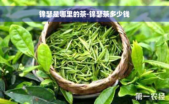 锦瑟是哪里的茶-锦瑟茶多少钱