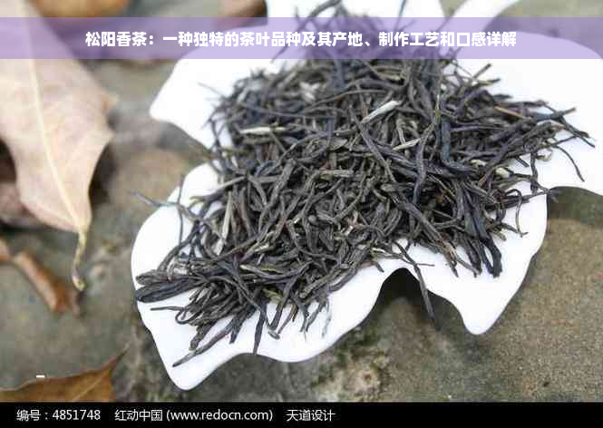 松阳香茶：一种独特的茶叶品种及其产地、制作工艺和口感详解