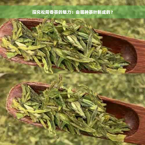 探究松阳香茶的魅力：由哪种茶叶制成的？