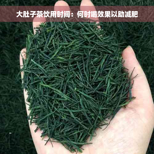 大肚子茶饮用时间：何时喝效果以助减肥