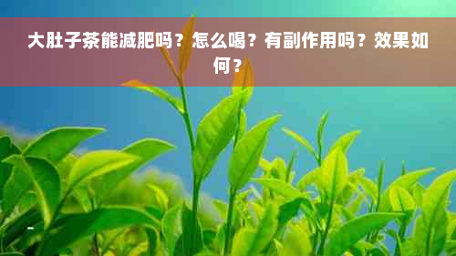 大肚子茶能减肥吗？怎么喝？有副作用吗？效果如何？