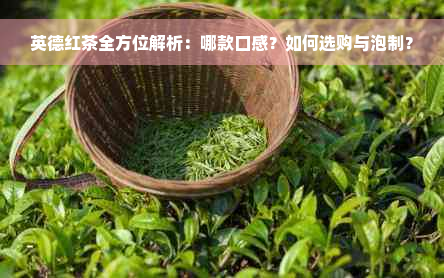 英德红茶全方位解析：哪款口感？如何选购与泡制？