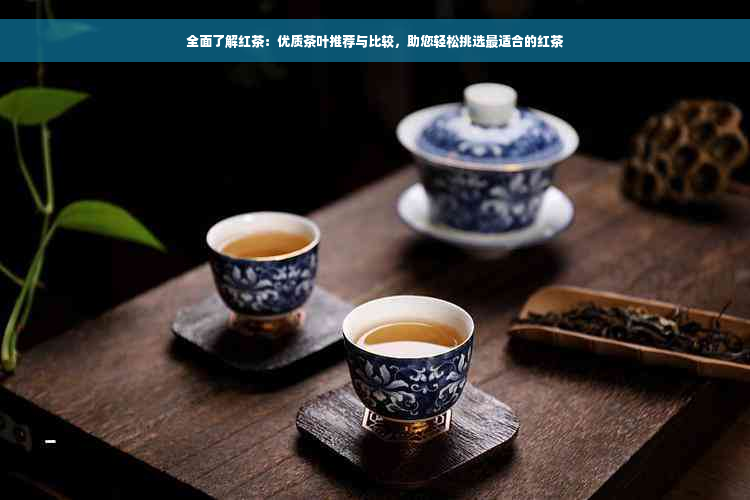 全面了解红茶：优质茶叶推荐与比较，助您轻松挑选最适合的红茶