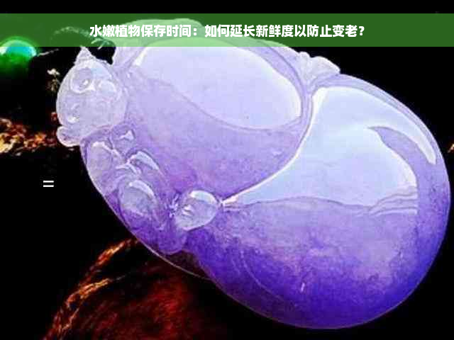 水嫩植物保存时间：如何延长新鲜度以防止变老？