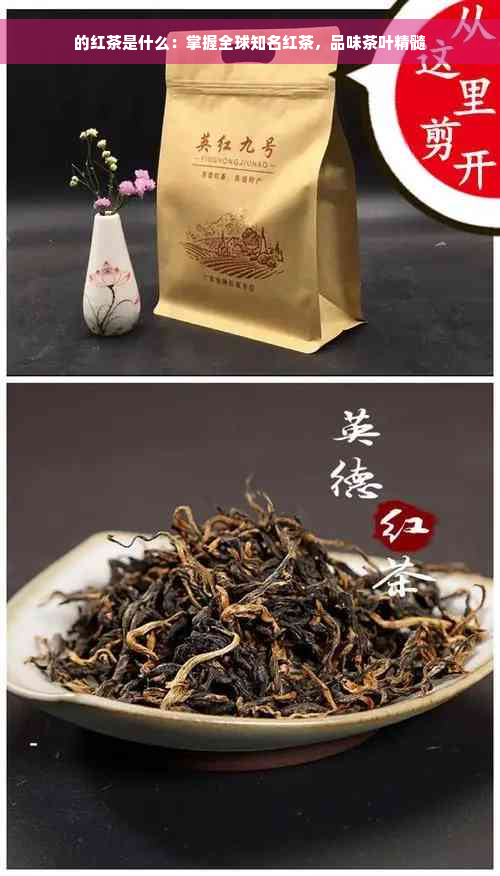 的红茶是什么：掌握全球知名红茶，品味茶叶精髓