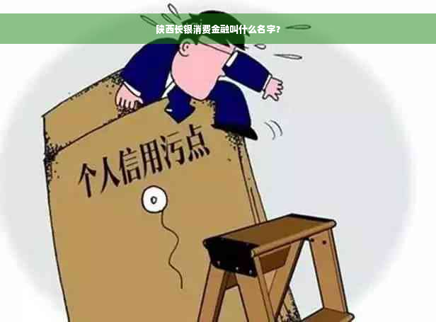 陕西长银消费金融叫什么名字？