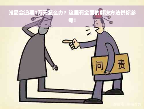 唯品会逾期1万元怎么办？这里有全面的解决方法供你参考！