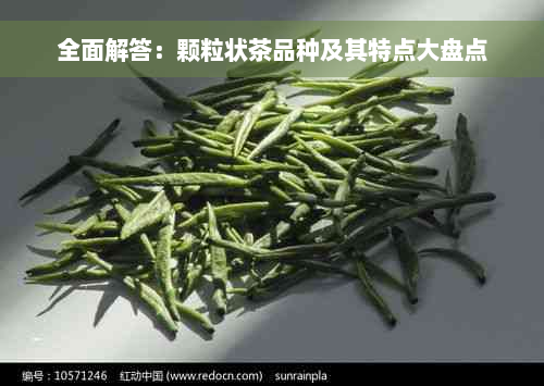 全面解答：颗粒状茶品种及其特点大盘点