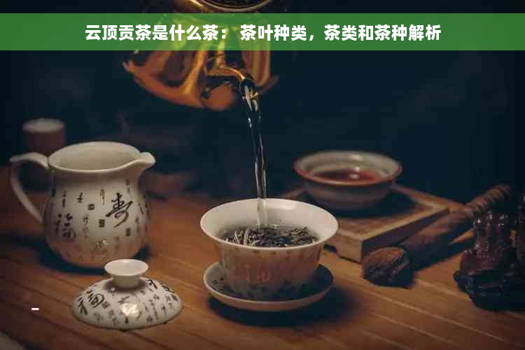 云顶贡茶是什么茶： 茶叶种类，茶类和茶种解析