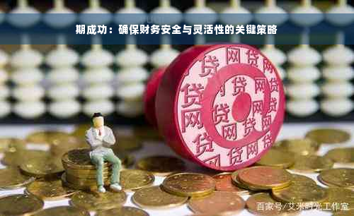 期成功：确保财务安全与灵活性的关键策略