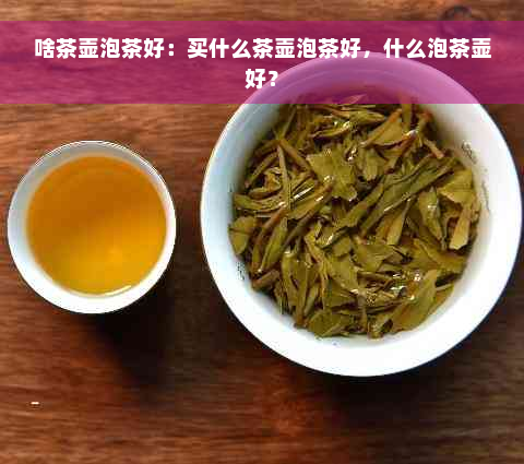 啥茶壶泡茶好：买什么茶壶泡茶好，什么泡茶壶好？