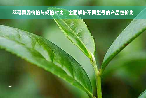 双毫雨露价格与规格对比：全面解析不同型号的产品性价比