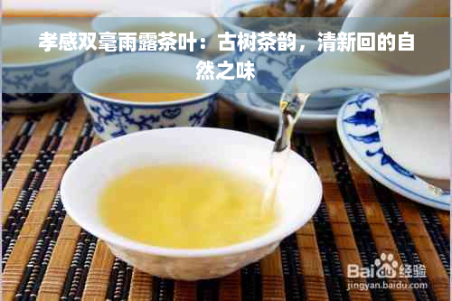 孝感双毫雨露茶叶：古树茶韵，清新回的自然之味