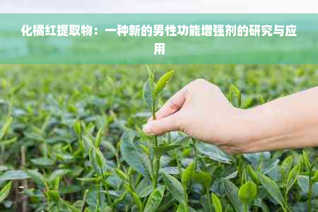 化橘红提取物：一种新的男性功能增强剂的研究与应用