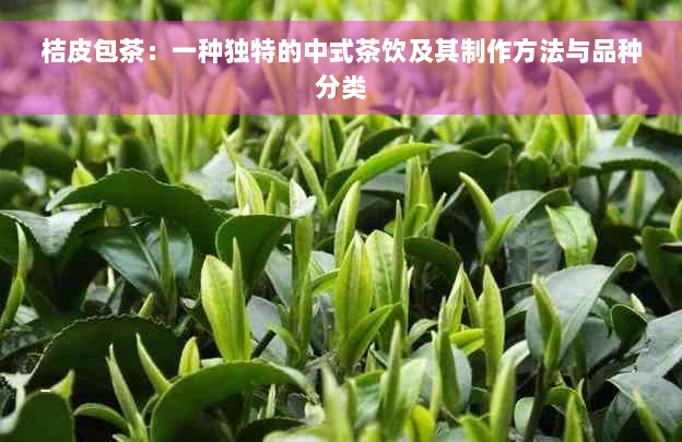 桔皮包茶：一种独特的中式茶饮及其制作方法与品种分类