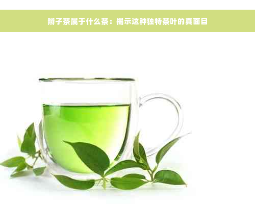 辫子茶属于什么茶：揭示这种独特茶叶的真面目