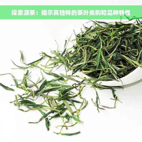 探索源茶：揭示其独特的茶叶类别和品种特性