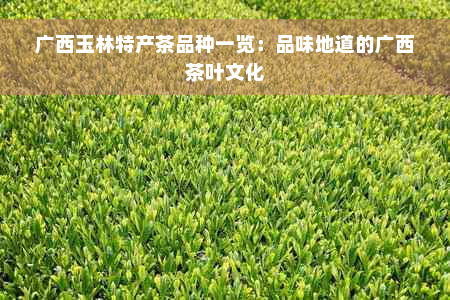 广西玉林特产茶品种一览：品味地道的广西茶叶文化