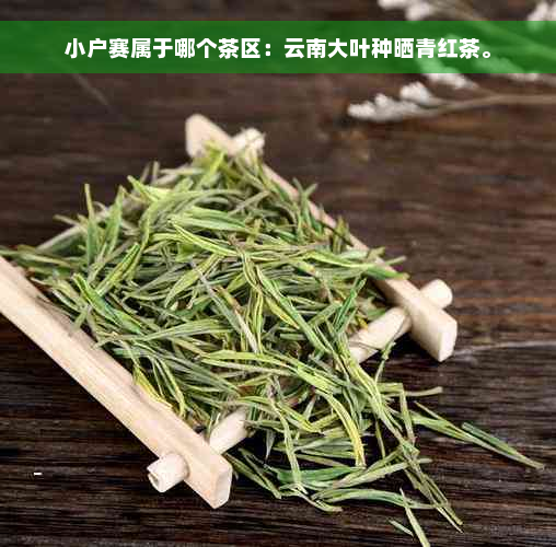 小户赛属于哪个茶区：云南大叶种晒青红茶。