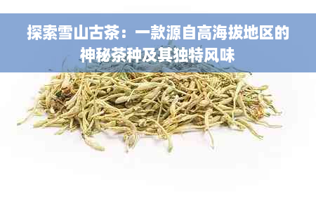 探索雪山古茶：一款源自高海拔地区的神秘茶种及其独特风味