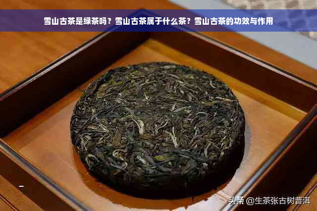 雪山古茶是绿茶吗？雪山古茶属于什么茶？雪山古茶的功效与作用