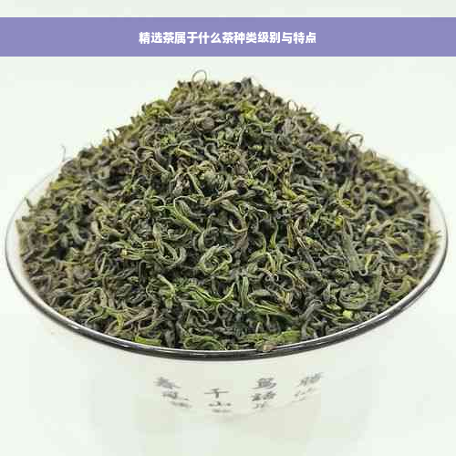 精选茶属于什么茶种类级别与特点