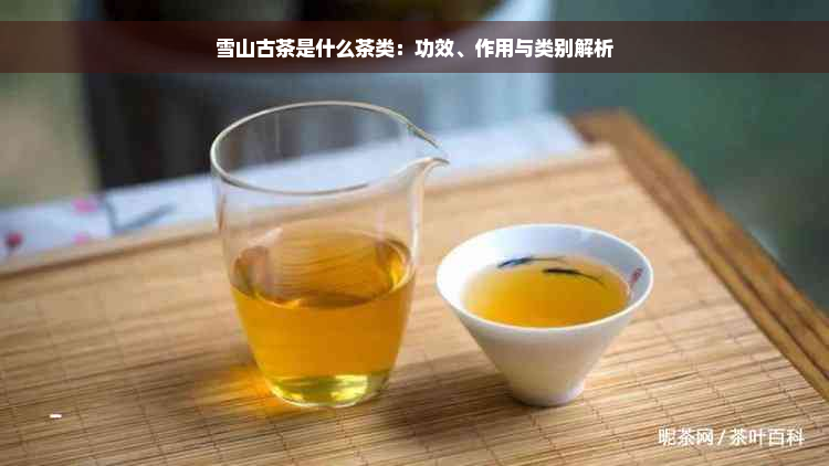 雪山古茶是什么茶类：功效、作用与类别解析