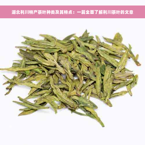 湖北利川特产茶叶种类及其特点：一篇全面了解利川茶叶的文章