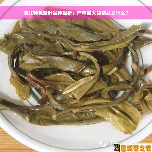 湖北特色茶叶品种探析：产量更大的茶品是什么？