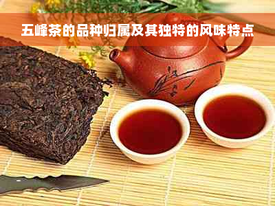 五峰茶的品种归属及其独特的风味特点