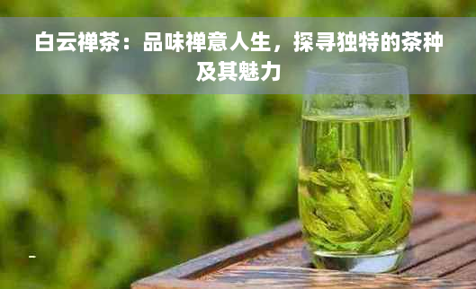 白云禅茶：品味禅意人生，探寻独特的茶种及其魅力