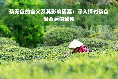 茶无色的含义及其影响因素：深入探讨茶色泽背后的秘密