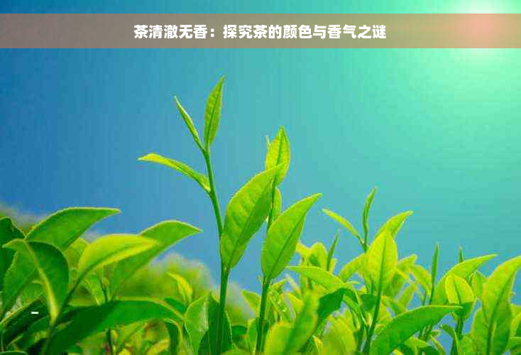 茶清澈无香：探究茶的颜色与香气之谜