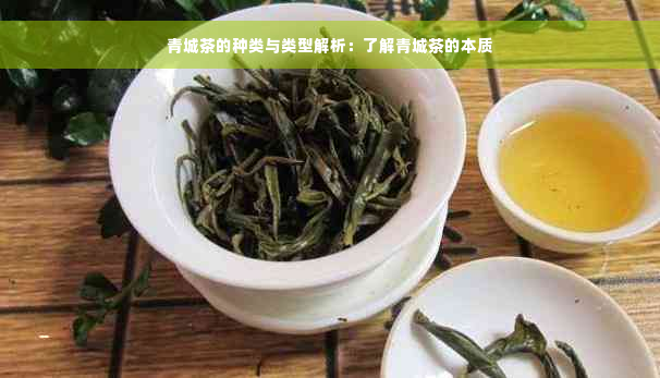 青城茶的种类与类型解析：了解青城茶的本质