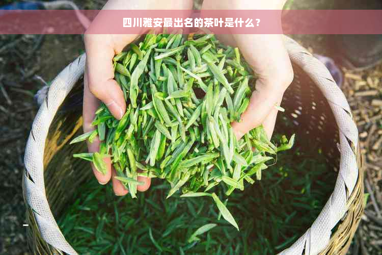 四川雅安最出名的茶叶是什么？