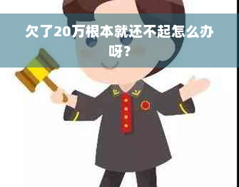 欠了20万根本就还不起怎么办呀？