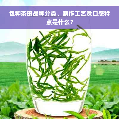 包种茶的品种分类、制作工艺及口感特点是什么？