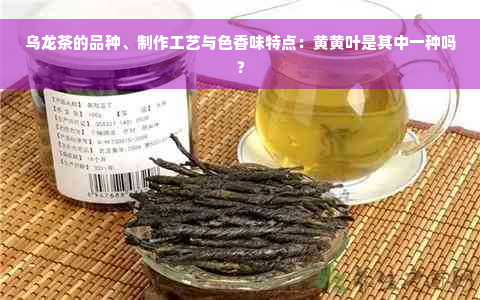 乌龙茶的品种、制作工艺与色香味特点：黄黄叶是其中一种吗？