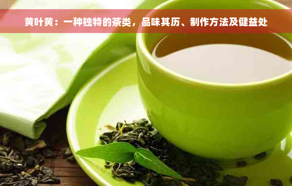 黄叶黄：一种独特的茶类，品味其历、制作方法及健益处