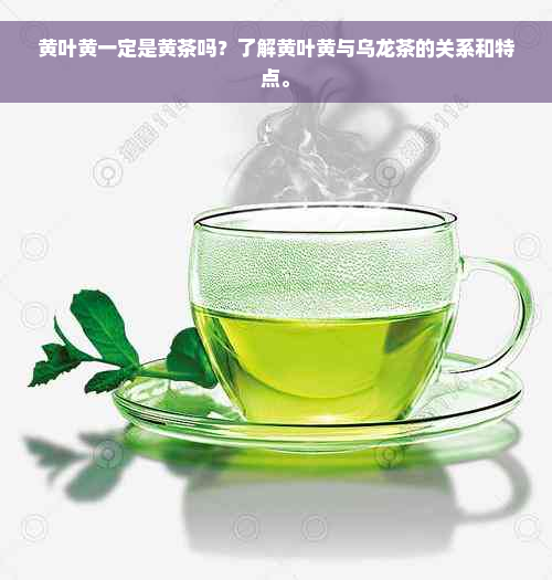 黄叶黄一定是黄茶吗？了解黄叶黄与乌龙茶的关系和特点。