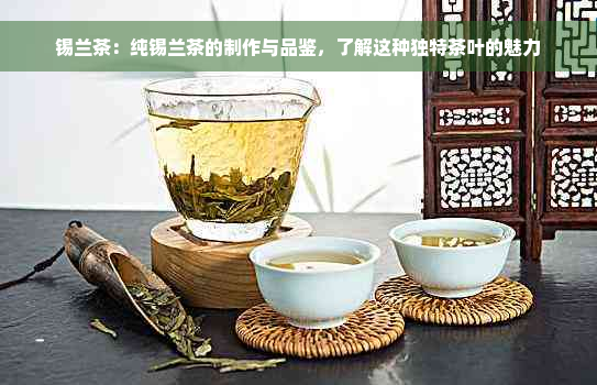 锡兰茶：纯锡兰茶的制作与品鉴，了解这种独特茶叶的魅力