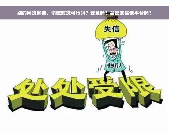 别的网贷逾期，借微粒贷可行吗？安全吗？会影响其他平台吗？