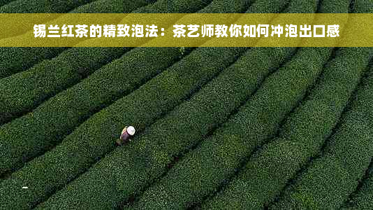 锡兰红茶的精致泡法：茶艺师教你如何冲泡出口感