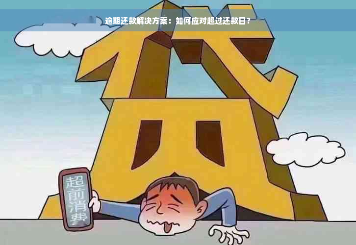 逾期还款解决方案：如何应对超过还款日？