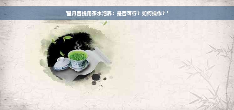 '星月菩提用茶水泡养：是否可行？如何操作？'