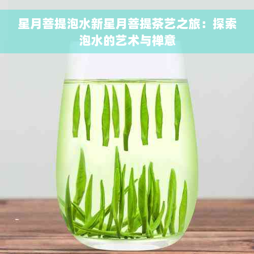 星月菩提泡水新星月菩提茶艺之旅：探索泡水的艺术与禅意