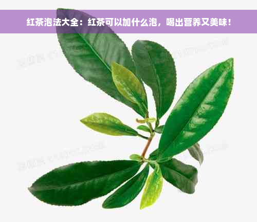 红茶泡法大全：红茶可以加什么泡，喝出营养又美味！